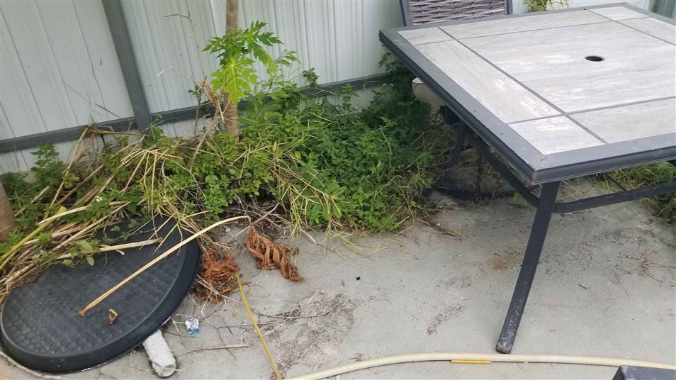 Lawn work in Naples